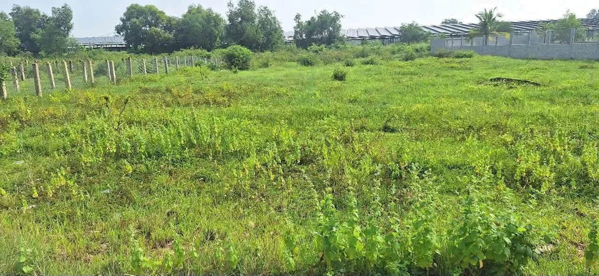Bán lô đất trồng cây 1149m2 Hàm Liêm, Lâm Đồng - Ảnh thu nhỏ 3
