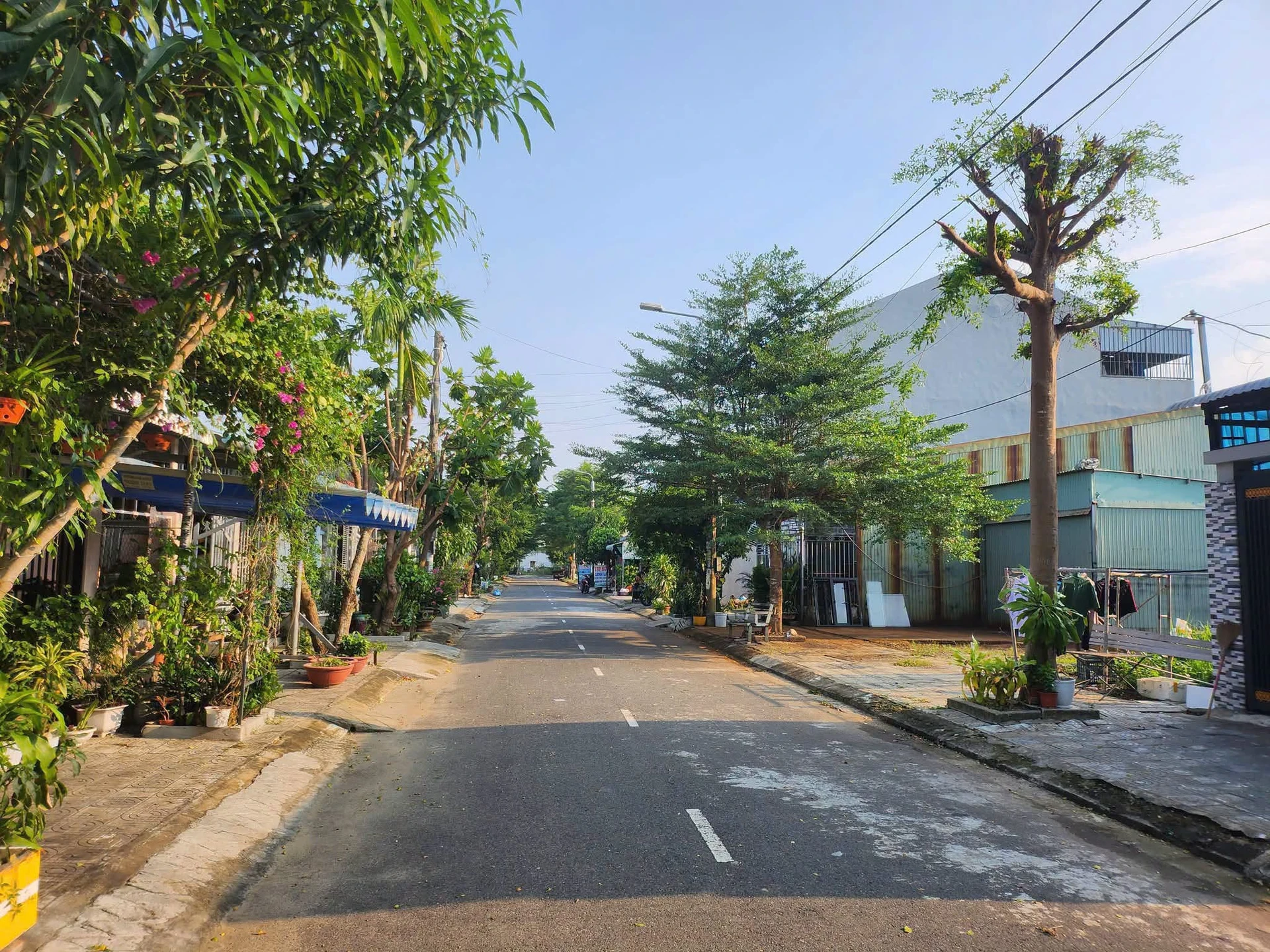 Bán lô đất An Phú Quý Đà Nẵng 81m² giá 19 tỷ - Ảnh 1