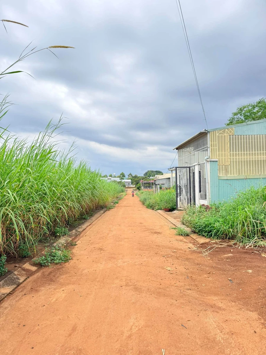 Bán đất 150m² hẻm song song Dương Minh Châu, Phường Pleiku - Ảnh thu nhỏ 5