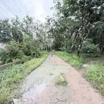 Bán đất 4.824m2 có 4.000m2 đất SKC ngành gỗ gần ĐT744, Dầu Tiếng - Ảnh thu nhỏ 2