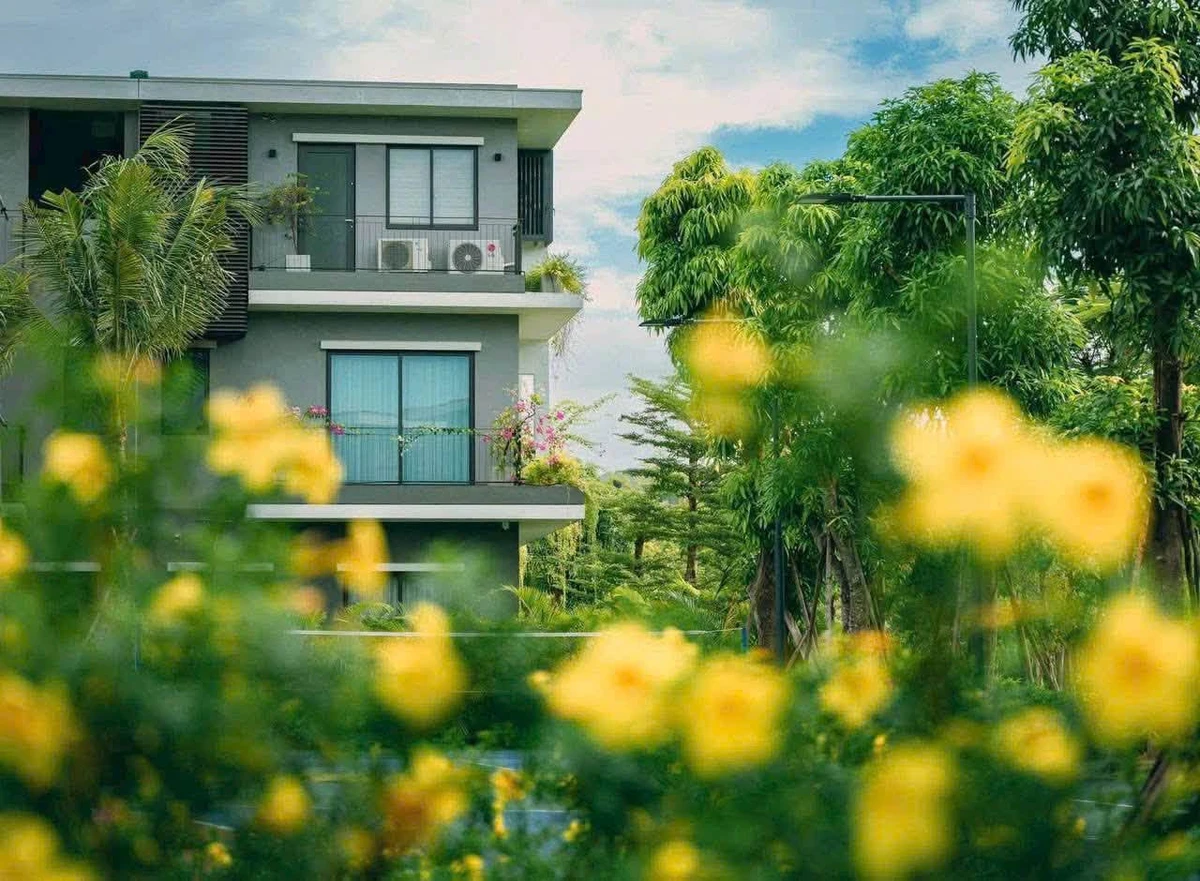 Bán biệt thự song lập The Plaza 270m² khoảng 8 tỷ Vinh - Ảnh 1