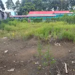 Đất đẹp giá tốt chính chủ cần bán tại đường Cây Khoa, Tân Khánh Đông, Sa Đéc, Đồng Tháp - Ảnh thu nhỏ 6