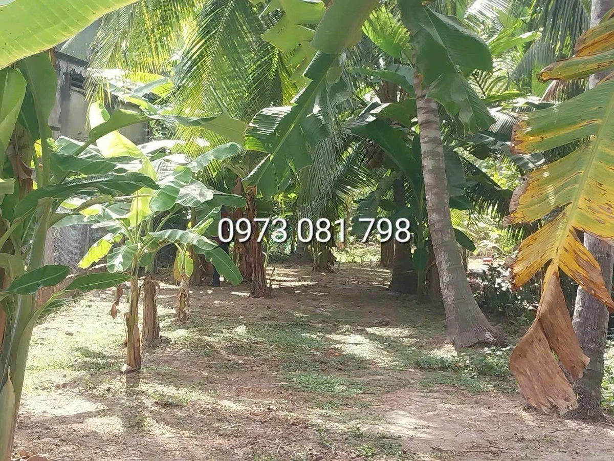 Bán đất mặt tiền Huyện Lộ 23 Bến Tre 2.325 m² - Ảnh thu nhỏ 2