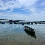 Bán lô đất 100m² view sông Hội An, 1 tỷ 750 - Ảnh thu nhỏ 1