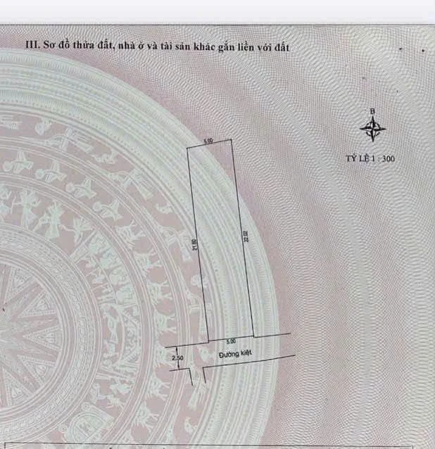 Bán đất kiệt ô tô 109m² Tô Hiệu, Hòa Minh, Đà Nẵng - Ảnh thu nhỏ 3