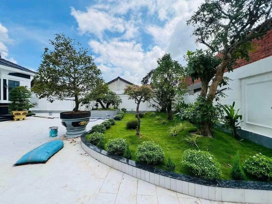 Bán nhà vườn mái Nhật 650m² 4PN Hóc Môn 6 tỷ 5 - Ảnh thu nhỏ 2
