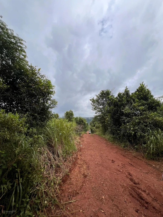 Bán ~6,6ha đất ven hồ trung tâm TP Gia Nghĩa - Ảnh thu nhỏ 3