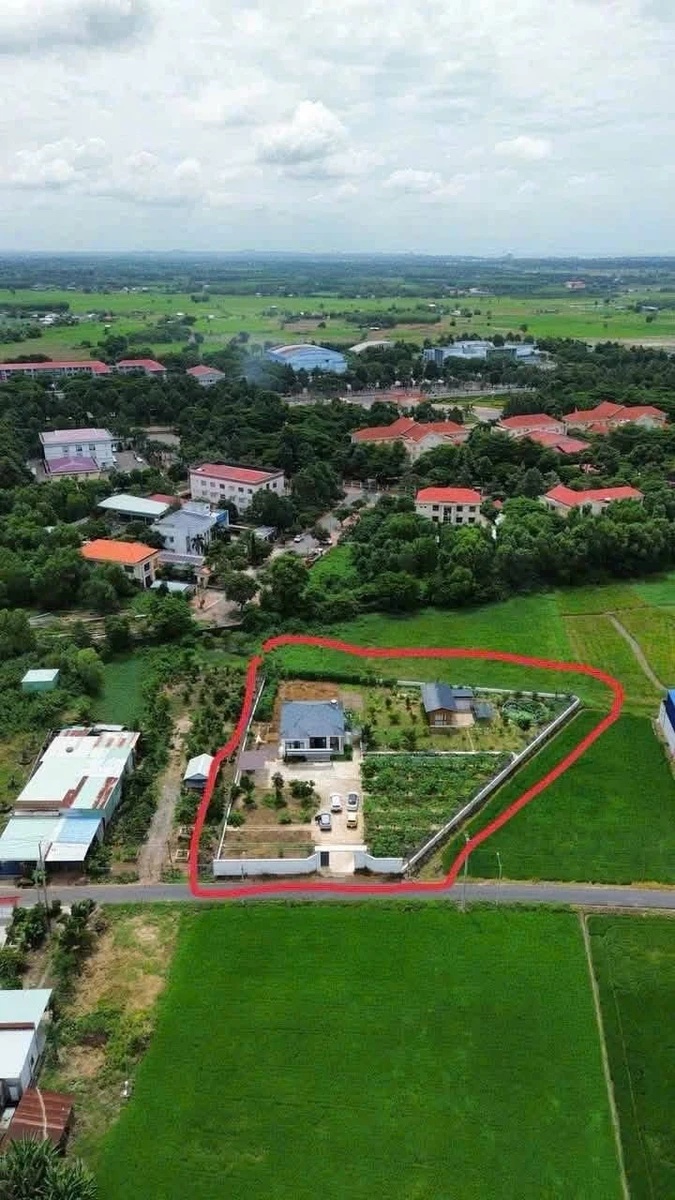 Bán nhà vườn mặt tiền Nguyễn Công Hoàn 3015m2 Đất Đỏ - Ảnh 1