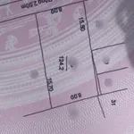 Bán đất nền 8x15,5m đường Nguyễn Trãi, Phường 9, Cà Mau, giá 750 triệu - Ảnh thu nhỏ 2
