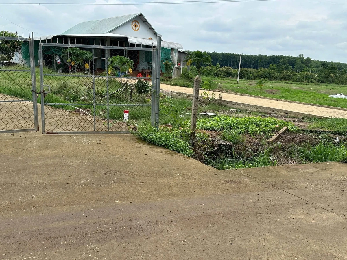 Bán đất nước ngoài 1.000m² Nha Bích, Đồng Nai - Ảnh thu nhỏ 3