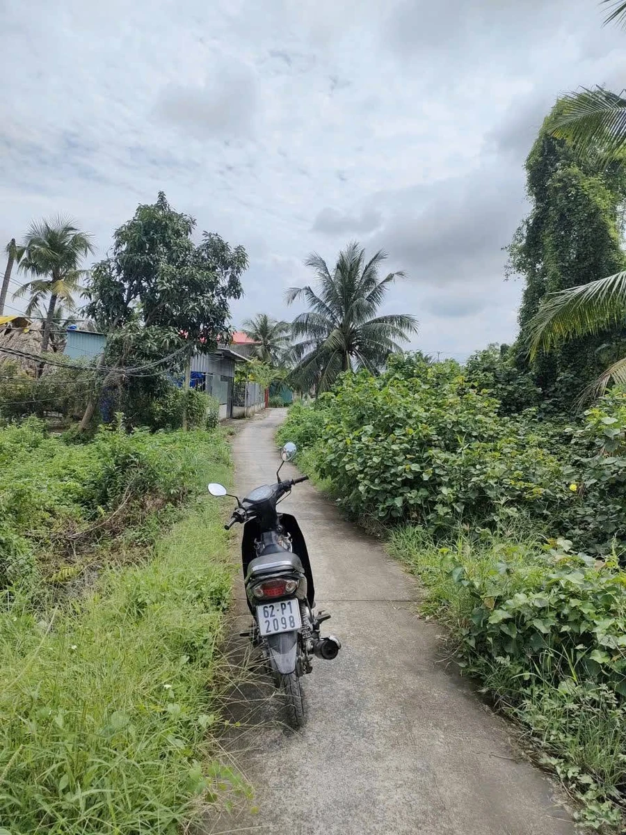 Bán 1000m2 đất vườn mặt tiền đường ô tô Tây Ninh - Ảnh thu nhỏ 5