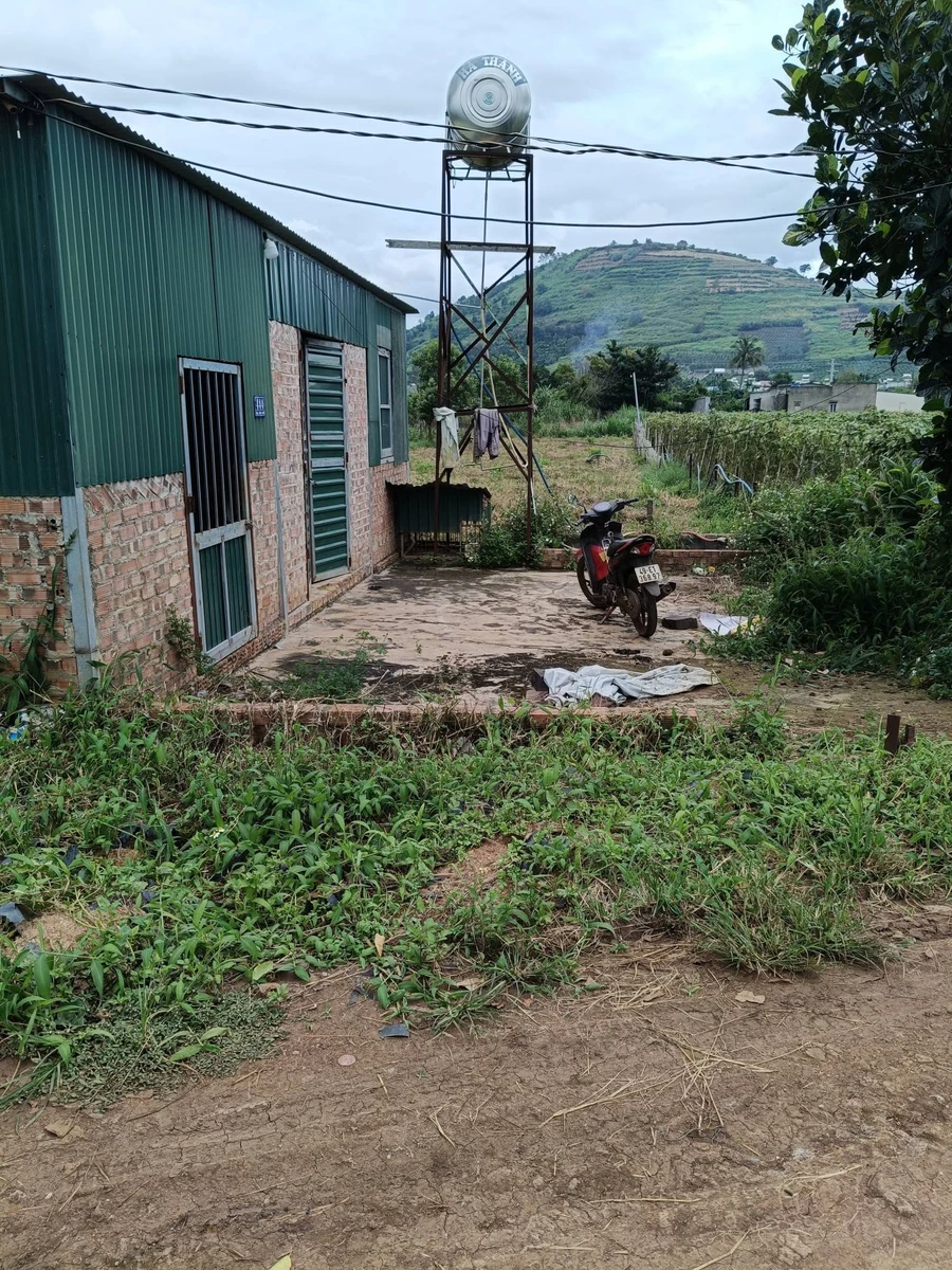 Bán đất Gia Bá Tân Hội 1213m2, giá 1,1 tỷ - Ảnh thu nhỏ 2