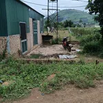 Bán đất Gia Bá Tân Hội 1213m2, giá 1,1 tỷ - Ảnh thu nhỏ 2