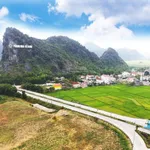 Bán đất đấu giá, sổ đỏ chính chủ DT gần 250m2 - Ảnh thu nhỏ 3