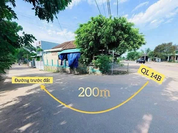 Bán đất 440m2 giá 1 tỷ 3 Đà Nẵng - Ảnh 1