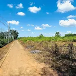 Bán đất hẻm chính 126 Trần Văn Ơn, 690m², Bình Tân - Ảnh thu nhỏ 1