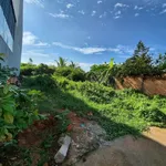 Bán đất thổ cư 189,6 m² Xóm Đoàn Kết, Lâm Đồng - 1,2 tỷ - Ảnh thu nhỏ 4