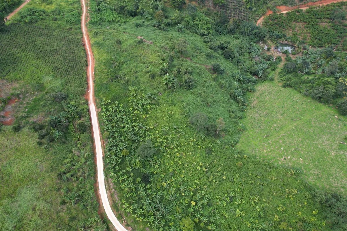 Bán đất 11.000m² (1,1ha) Lộc Thành Bảo Lộc 3,3 tỷ đồng - Ảnh thu nhỏ 3