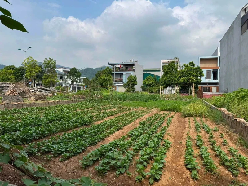 Bán lô đất 102m² mặt tiền 5m Trương Hán Siêu, Hòa Bình