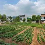 Bán lô đất 102m² mặt tiền 5m Trương Hán Siêu, Hòa Bình - Ảnh thu nhỏ 1