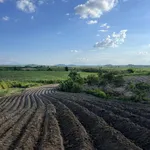 Bán 1 hecta đất tại huyện M'Đrăk, tỉnh Đắk Lắk - Ảnh thu nhỏ 6