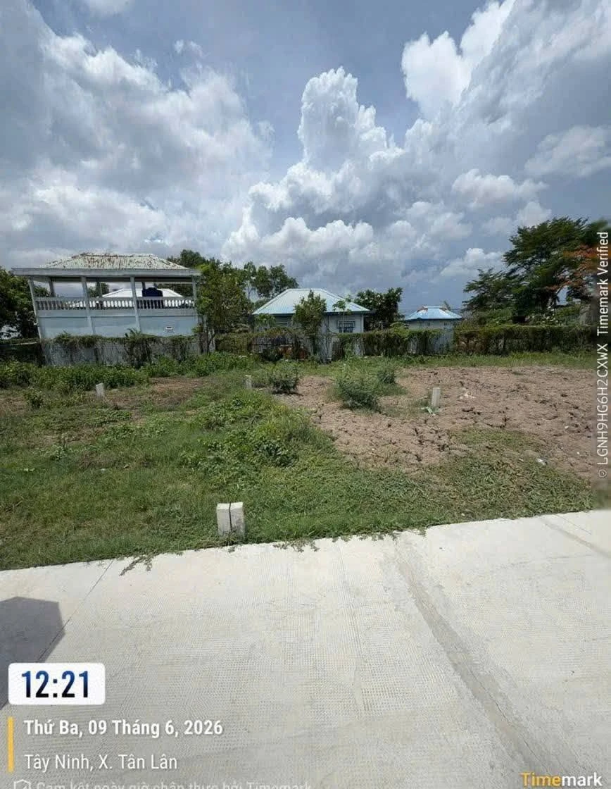 Bán đất thổ cư 100m2 giá 320 triệu tại Ấp 6, Phước Đông, Tân Lân, Tây Ninh - Ảnh thu nhỏ 2