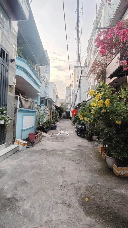 Bán nhà vườn 500m² Xã Long Phước, TP. Bà Rịa, 1 tỷ 790 triệu 1ty230tr