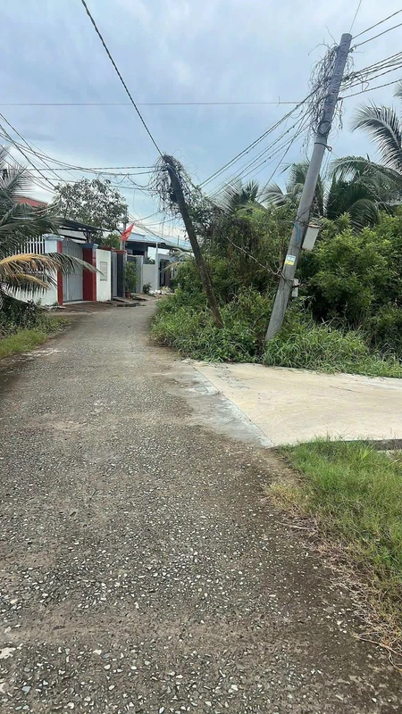 Bán 3 lô đất thổ cư 125m² Hòa Phú, Long An 430 triệu/lô
