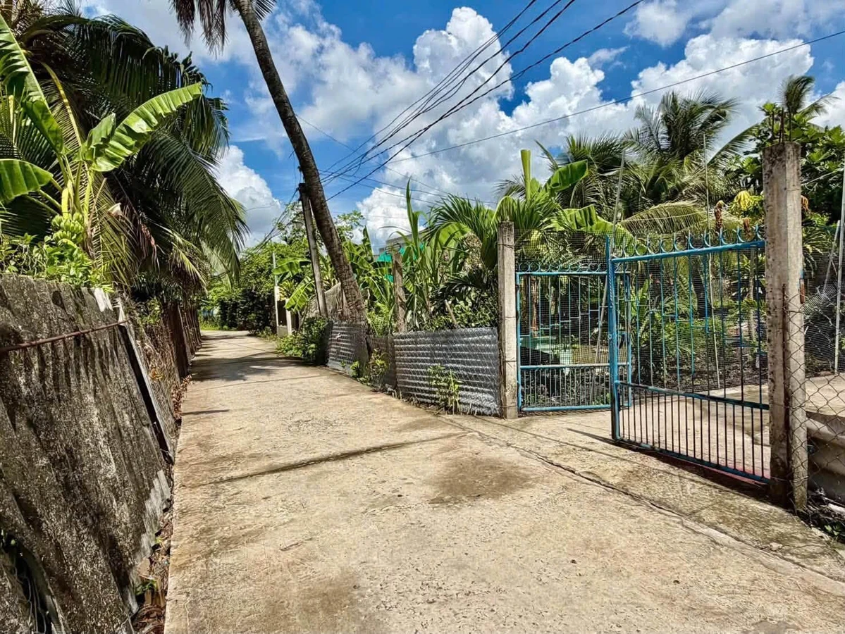 Bán đất thổ cư 5x39m (195m2) giá 750 triệu tại An Vĩnh Ngãi, Tân An, Tây Ninh - Ảnh thu nhỏ 3
