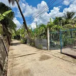 Bán đất thổ cư 5x39m (195m2) giá 750 triệu tại An Vĩnh Ngãi, Tân An, Tây Ninh - Ảnh thu nhỏ 3