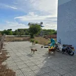 Bán 9.722m² đất gần biển Bình Châu, 13 tỷ - Ảnh thu nhỏ 3