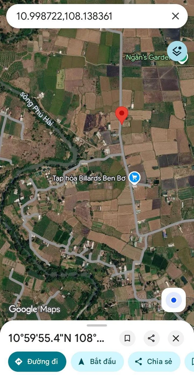 Bán lô đất 1000m² tại Hàm Thắng, Bình Thuận 1 tỷ 250 - Ảnh 1