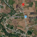 Bán lô đất 1000m² tại Hàm Thắng, Bình Thuận 1 tỷ 250 - Ảnh thu nhỏ 1