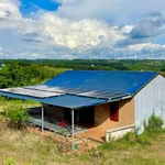 Bán rẫy cà phê 4,5 ha Đắk Lắk, có cơ sở vật chất - Ảnh thu nhỏ 5