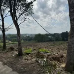 Bán 1000m² đất sào ở Định Quán, Đồng Nai, giá 700 triệu - Ảnh thu nhỏ 2