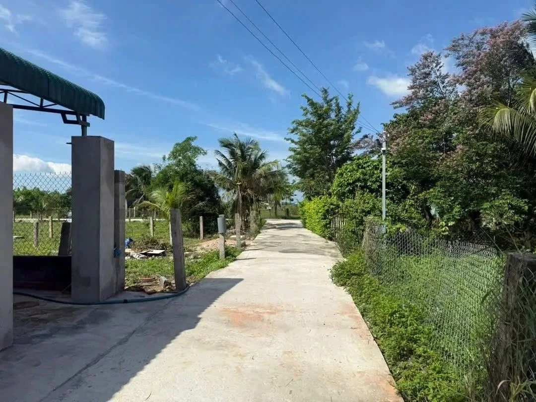 Bán đất 180m² (118m² thổ cư) có nhà cấp 4 Hàm Thuận Bắc - Ảnh thu nhỏ 3