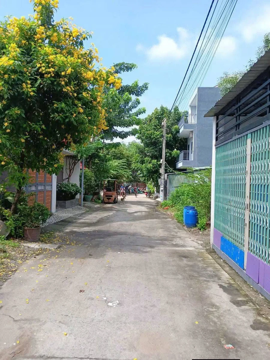 Bán lô đất Bình Hoà Thuận An Bình Dương 111.5m2, 3.3 tỷ - Ảnh thu nhỏ 2