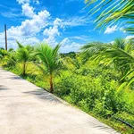 Bán đất vườn mặt tiền 38m Xuân Lộc Đồng Nai 1 tỷ 550 triệu - Ảnh thu nhỏ 1
