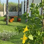 Nhà vườn nghỉ dưỡng Phan Thiết 1.606m² giá 1 tỷ 850 triệu - Ảnh thu nhỏ 2