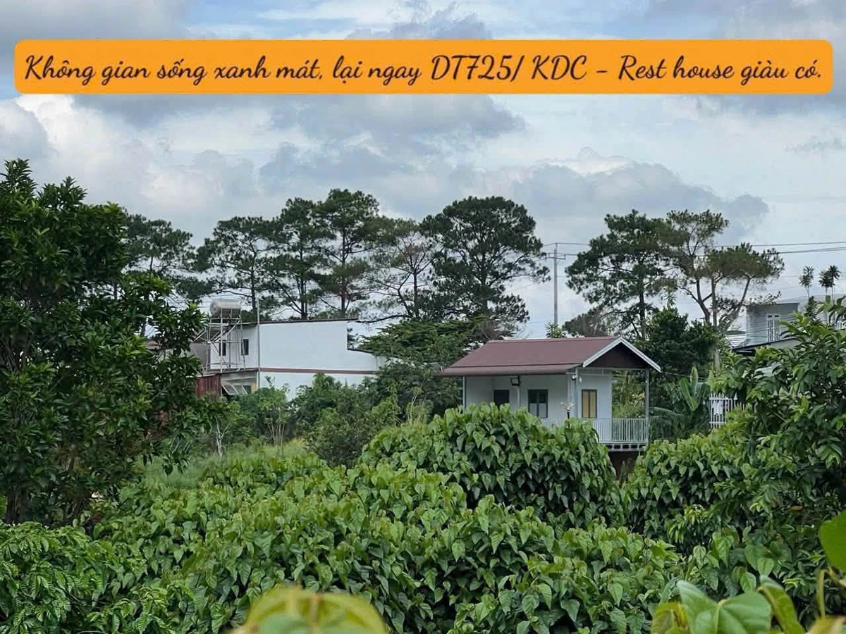 Bán đất Nam Ban Đà Lạt 174m² 599 triệu - Ảnh thu nhỏ 2