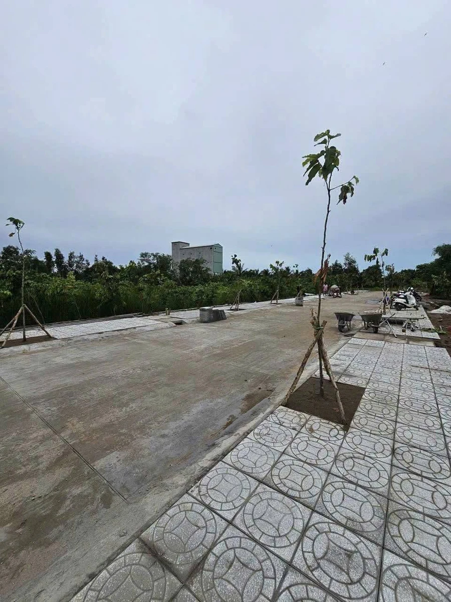 Bán nền 145,92 m² tại 379 Quang Trung, Rạch Giá - Ảnh thu nhỏ 3