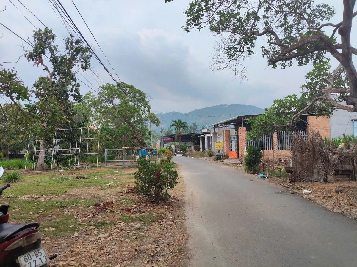 Bán đất 165m2 (80m2 thổ cư) mặt tiền nhựa Lò Than, sau chợ Suối Cát, giá 690 triệu - Ảnh thu nhỏ 5