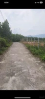 Chào bán lô đất vườn diện tích khủng hơn thích hợp xây villa hoặc kinh doanh du lịch tại Bà Nà - Ảnh thu nhỏ 5