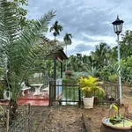 Bán nhà vườn Buôn Ma Thuột gần chợ Đạt Lý, 1012m² - Ảnh thu nhỏ 3