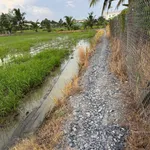 Bán đất lúa 2000m² Tân Bình, Tân Trụ, Long An - Ảnh thu nhỏ 1