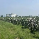 Bán đất 1800m2 Kênh N29 Hàm Liêm, Bình Thuận 600 triệu - Ảnh thu nhỏ 2