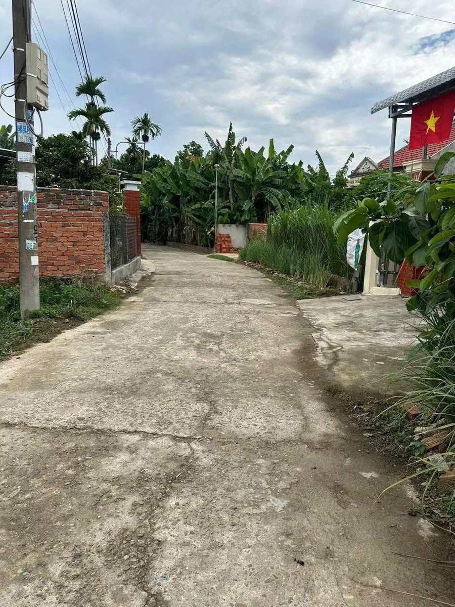 Bán đất vườn 520m² giá 1.5 tỷ Nghĩa Dõng - Ảnh thu nhỏ 4