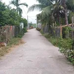 Bán lô góc đất mặt tiền 220m² Phước Vân Tây Ninh - Ảnh thu nhỏ 3