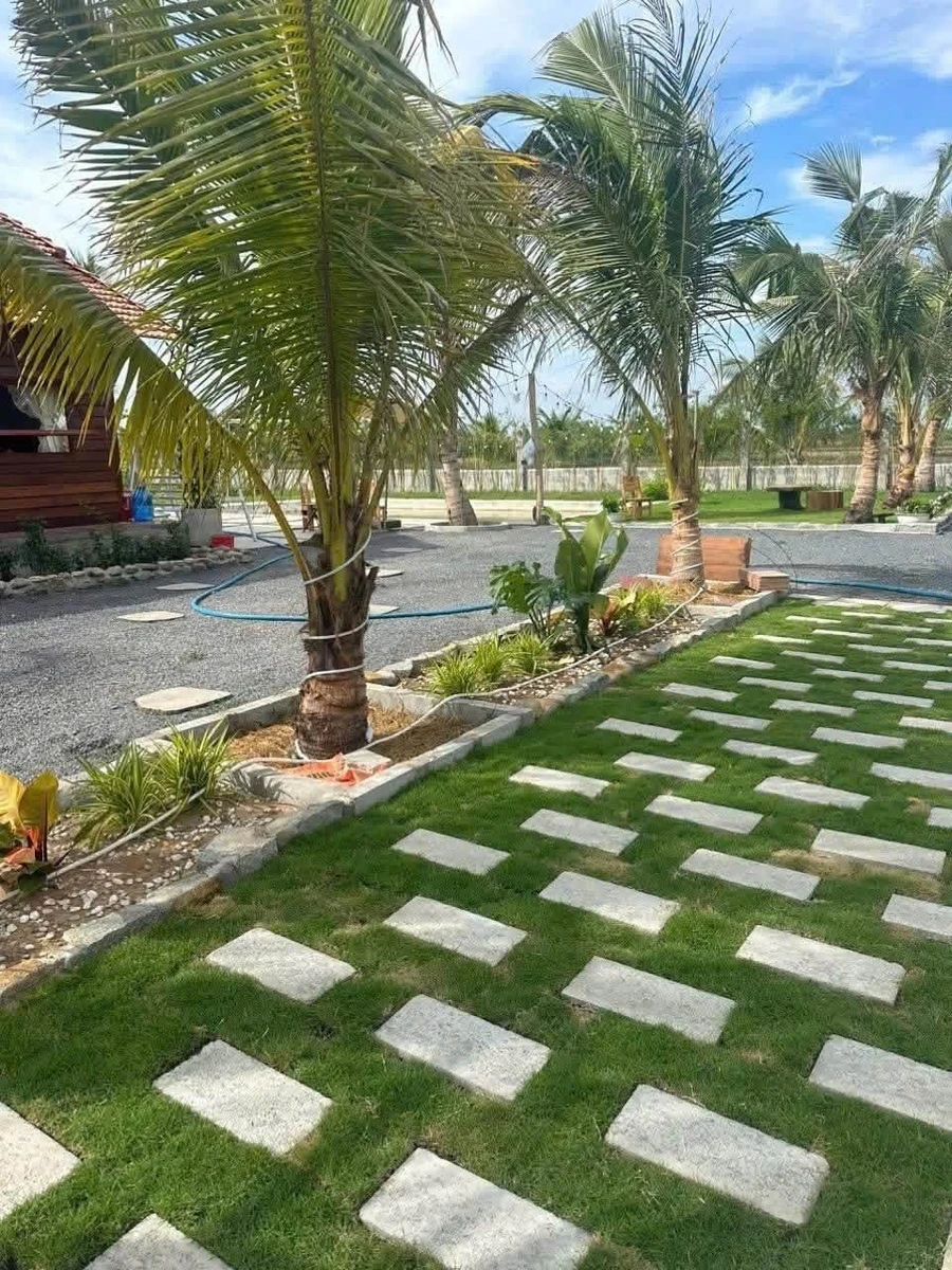 Bán biệt thự 1618m2 Hàm Chính Phan Thiết, 1 tỷ 350 triệu - Ảnh thu nhỏ 2