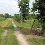 Bán đất hẻm 5m x 60m (300m²) 420 triệu Bình Chánh - Ảnh thu nhỏ 2